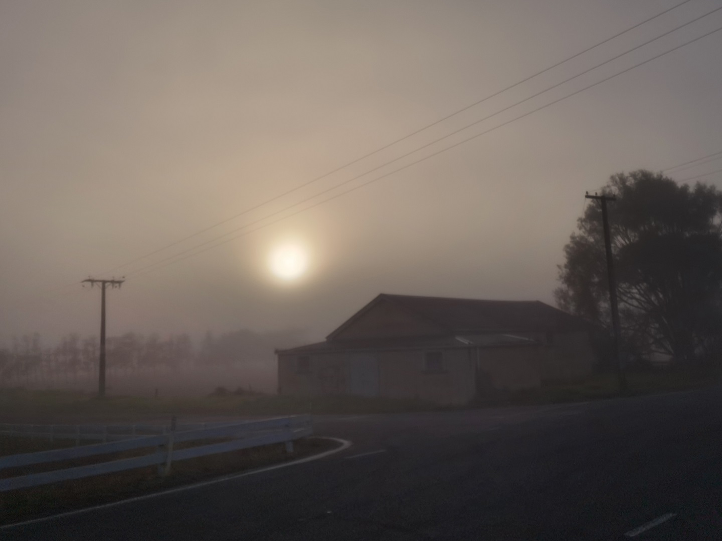 Bend in the road _ Judy Stokes